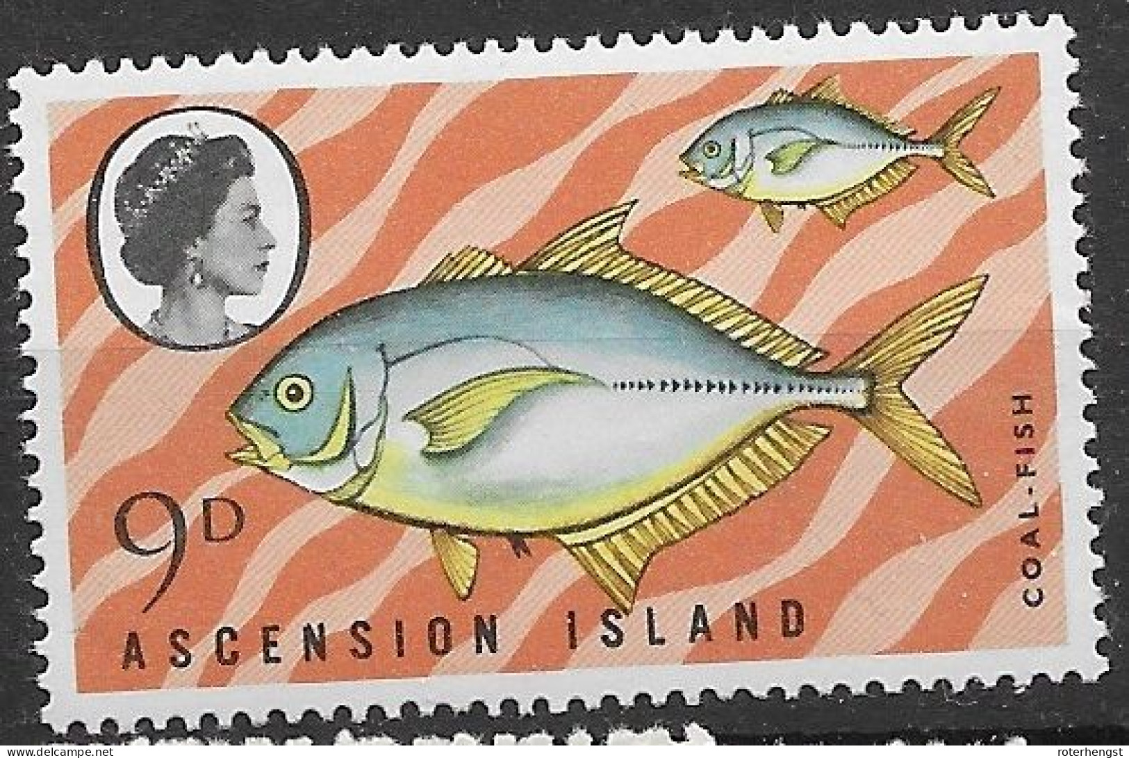 Ascension Mnh ** Fish 1970 5,5 Euros - Ascension