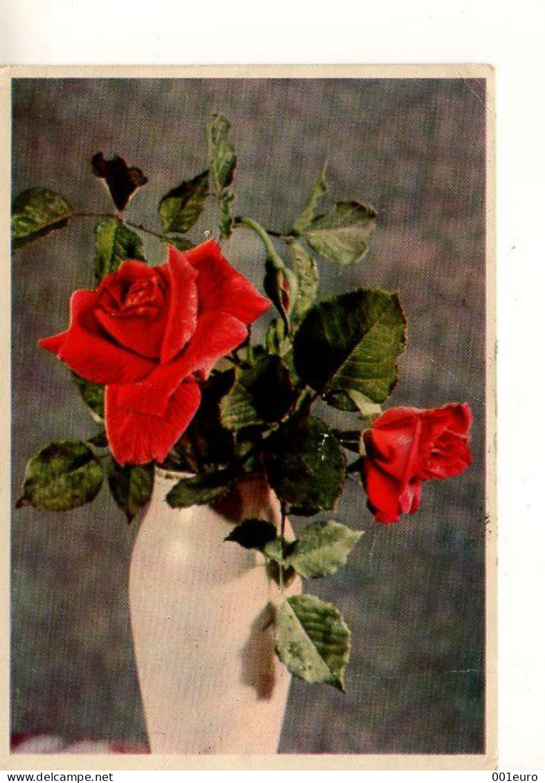 RUSSIA [USSR]: 1958 ROSES IN A VASE Used Postal Stationery Card - Registered Shipping! - 1950-59