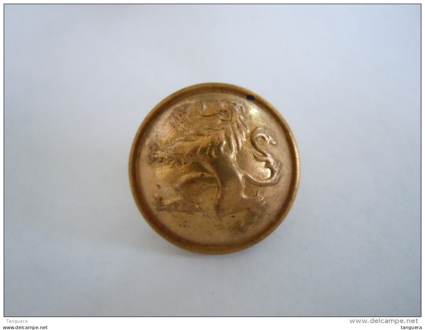 Belgie Belgique Knoop Bouton Leeuw Lion Couleur Bronze Bronskleur  2,2 Cm - Buttons