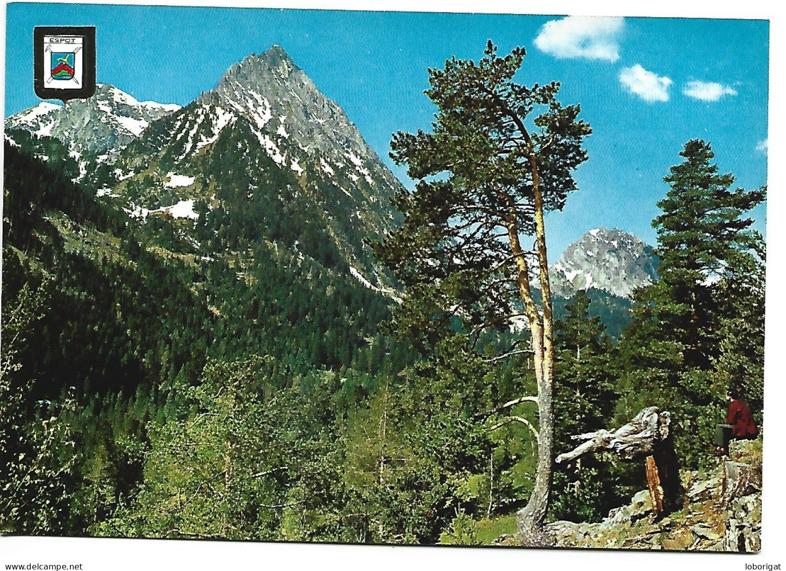 VALL D'ESPOT.- PAISATJE DE SANT MAURICI, PARC NACIONAL / SANT MAURICI LANDSCAPE, NATIONAL PARC.-  LLEIDA.- ( CATALUNYA) - Lérida