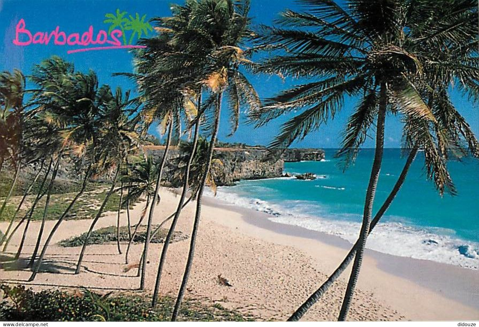 Antilles - Barbades - Barbados - Bottom Bay - CPM - Voir Scans Recto-Verso - Barbados