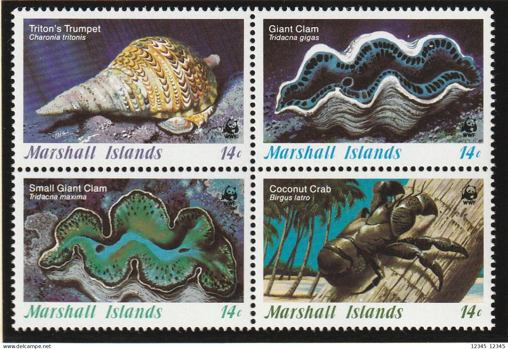 Marshalleilanden 1986, Postfris MNH, WWF, Invertebrates - Islas Marshall