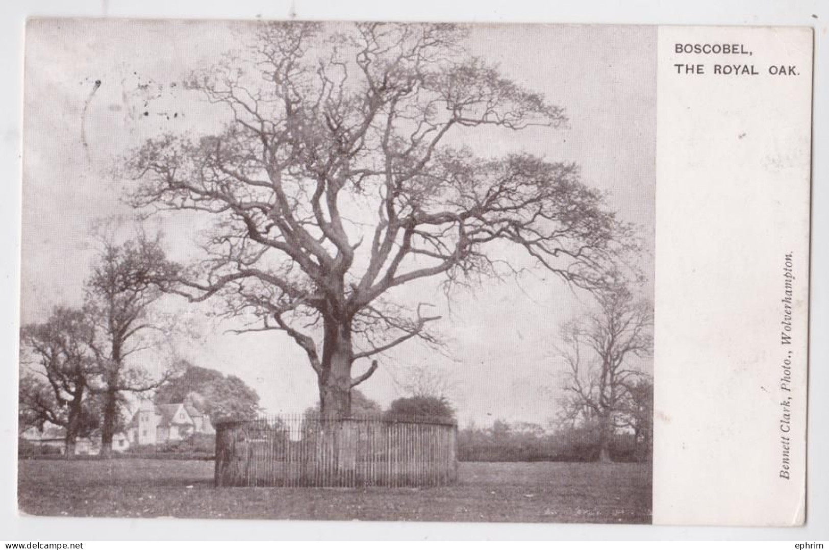 Boscobel The Royal Oak Arbre Nommé - Shropshire