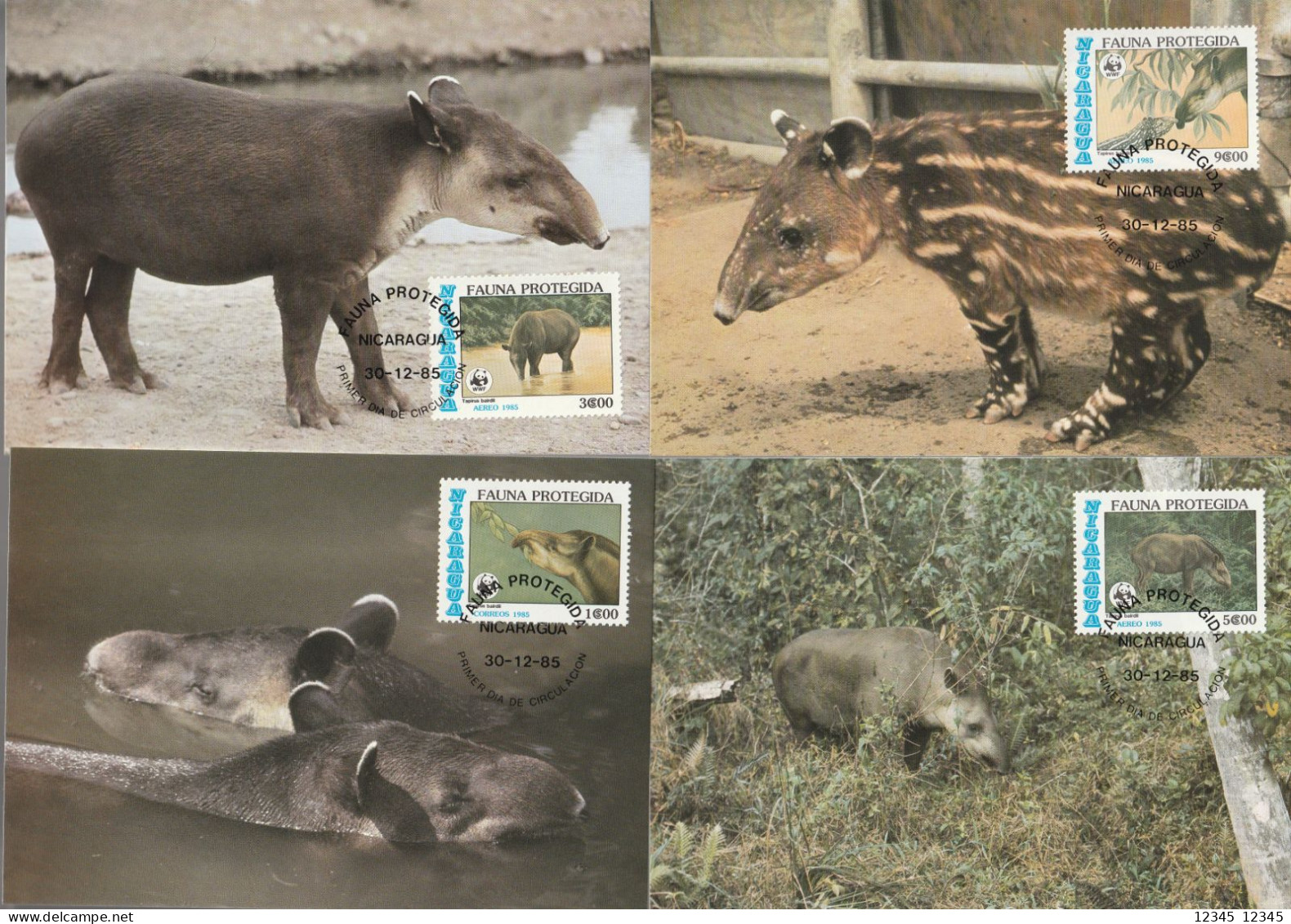 Nicaragua 1985, Maximum Cards Unused, WWF, Tapir - Nicaragua