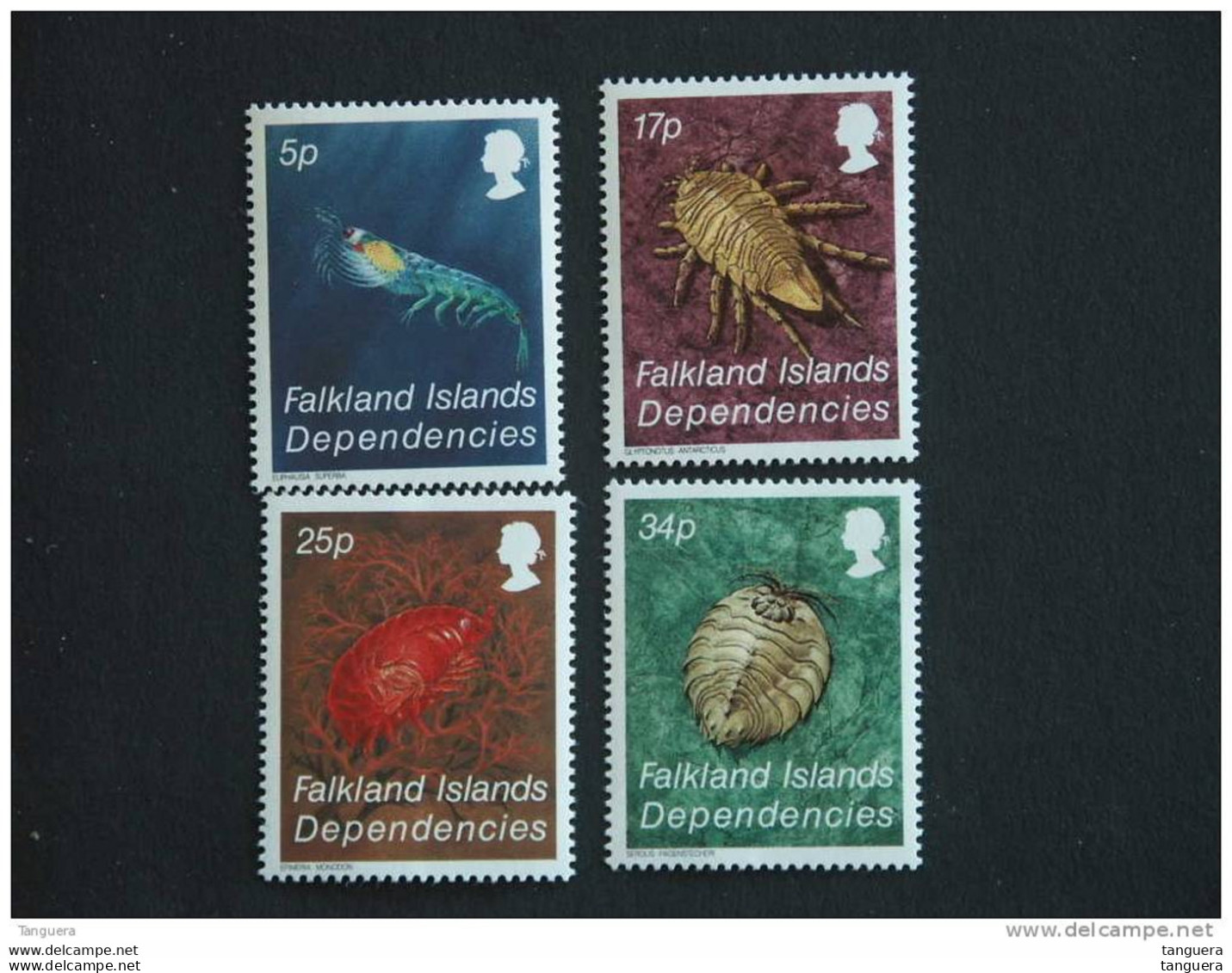 Falkland Islands Dependencies 1983 Faune Marine Crustaces Schaaldieren Yv 120-123 MNH ** - Crostacei