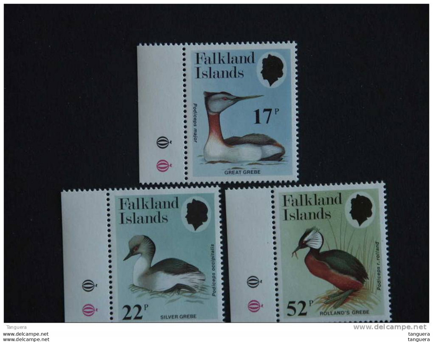 Falkland Islands 1984 Grèbes Fuut Podiceps Yv 425-427 MNH ** - Falklandeilanden