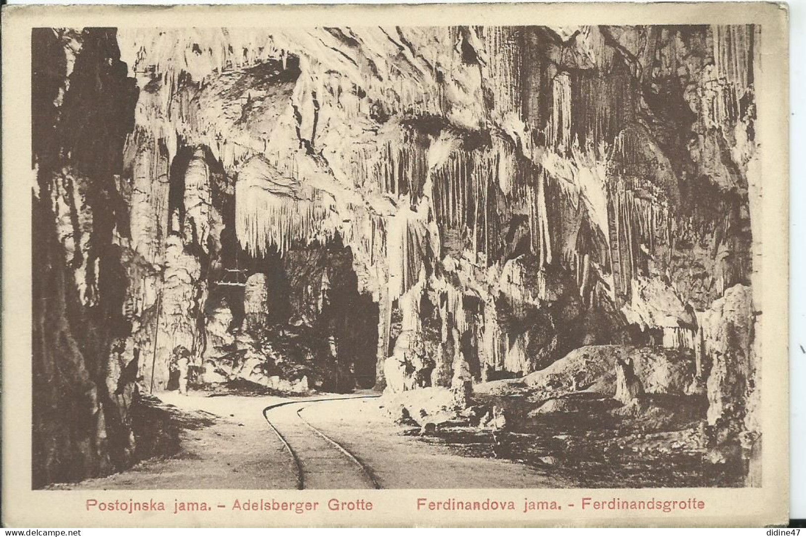SLOVENIE - Postojnska Jama - Grotte - Slovénie