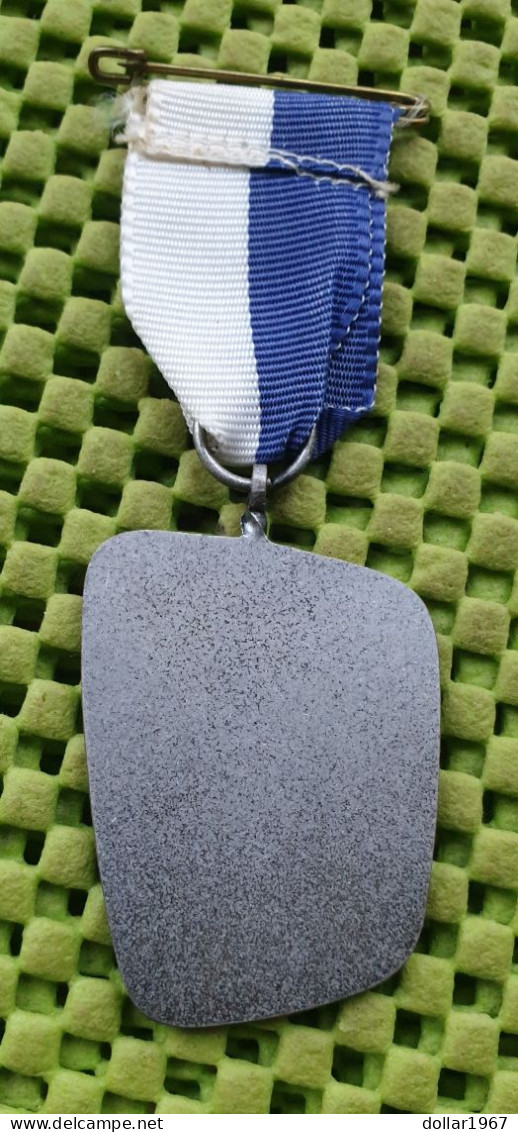 Medaille : Herfsttocht Het Spaane , Haarlem  -  Original Foto  !!  Medallion  Dutch - Sonstige & Ohne Zuordnung