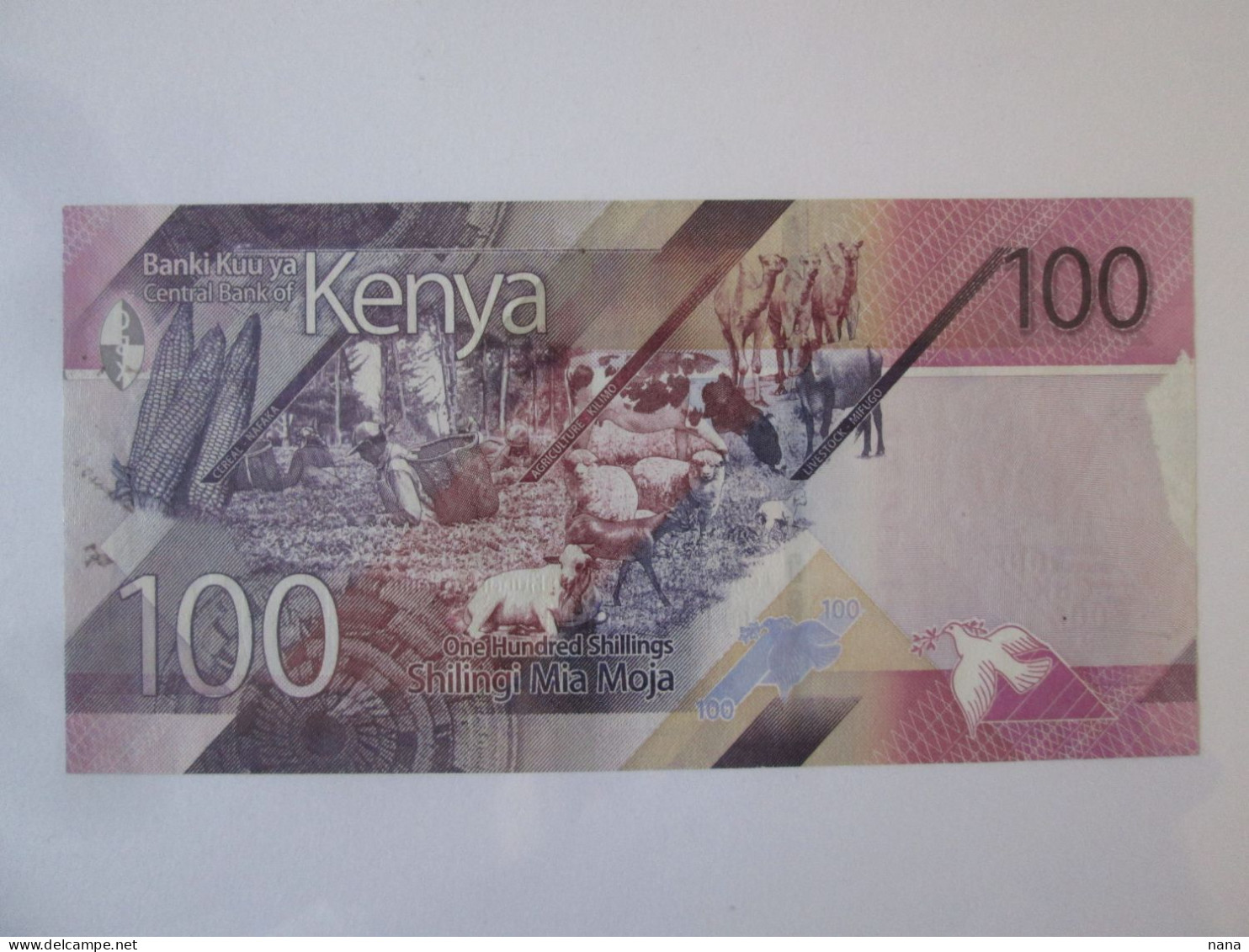 Kenya 100 Shilingi 2019 Banknote,see Pictures - Kenya