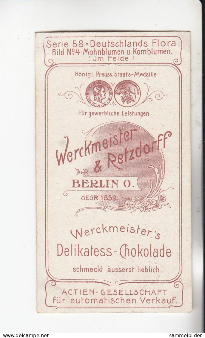 Actien Gesellschaft Mohnblumen Und Kornblumen   (Im Felde    )   Serie  58 #4 Von 1900 - Stollwerck