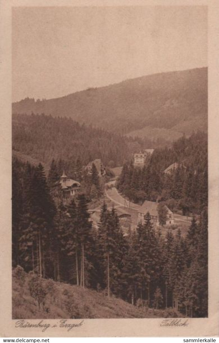 61685 - Altenberg-Bärenburg - Talblick - Ca. 1935 - Altenberg