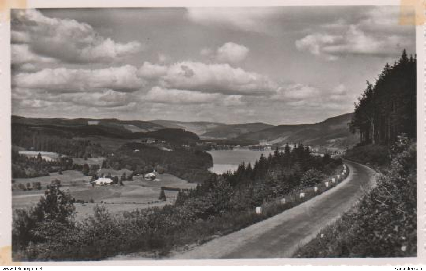 6541 - Titisee Schwarzwald - Ca. 1955 - Titisee-Neustadt