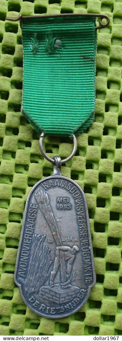 Medaille : Avondvierdaagse Raamsdonksveerse , Mei 1993 -  Original Foto  !!  Medallion  Dutch - Andere & Zonder Classificatie