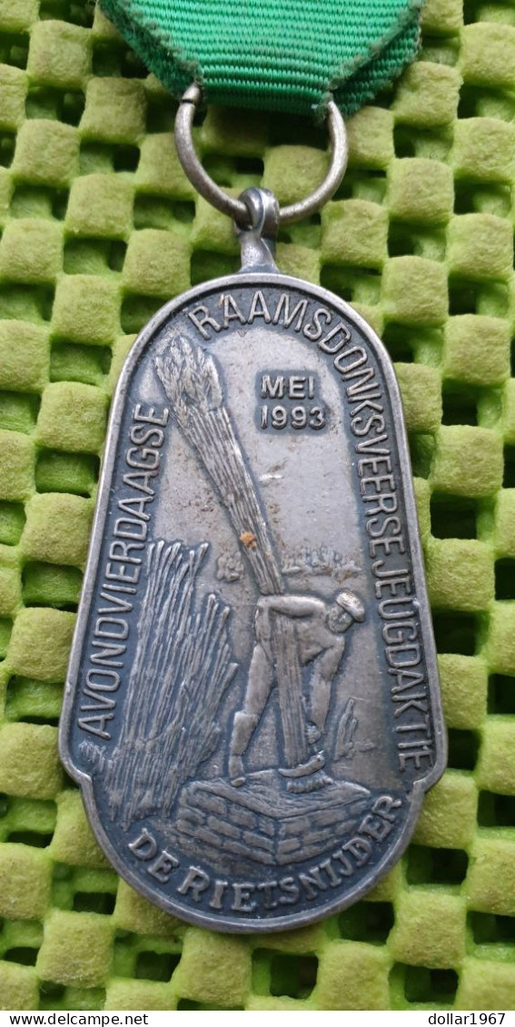 Medaille : Avondvierdaagse Raamsdonksveerse , Mei 1993 -  Original Foto  !!  Medallion  Dutch - Andere & Zonder Classificatie