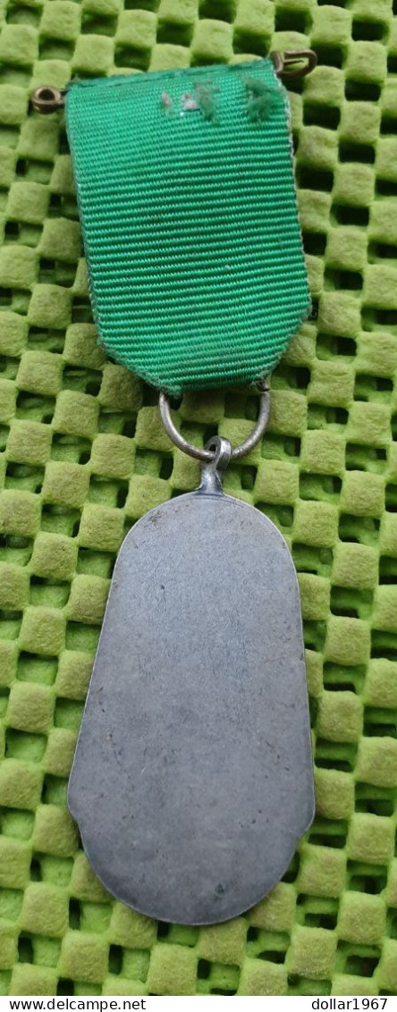 Medaille : Avondvierdaagse Raamsdonksveerse , Mei 1993 -  Original Foto  !!  Medallion  Dutch - Sonstige & Ohne Zuordnung