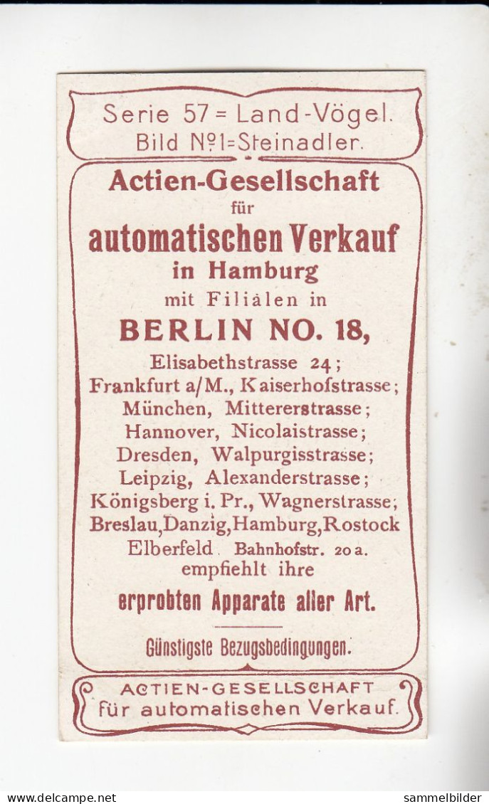 Actien Gesellschaft  Land Vögel Steinadler   Serie  57 #1 Von 1900 - Stollwerck