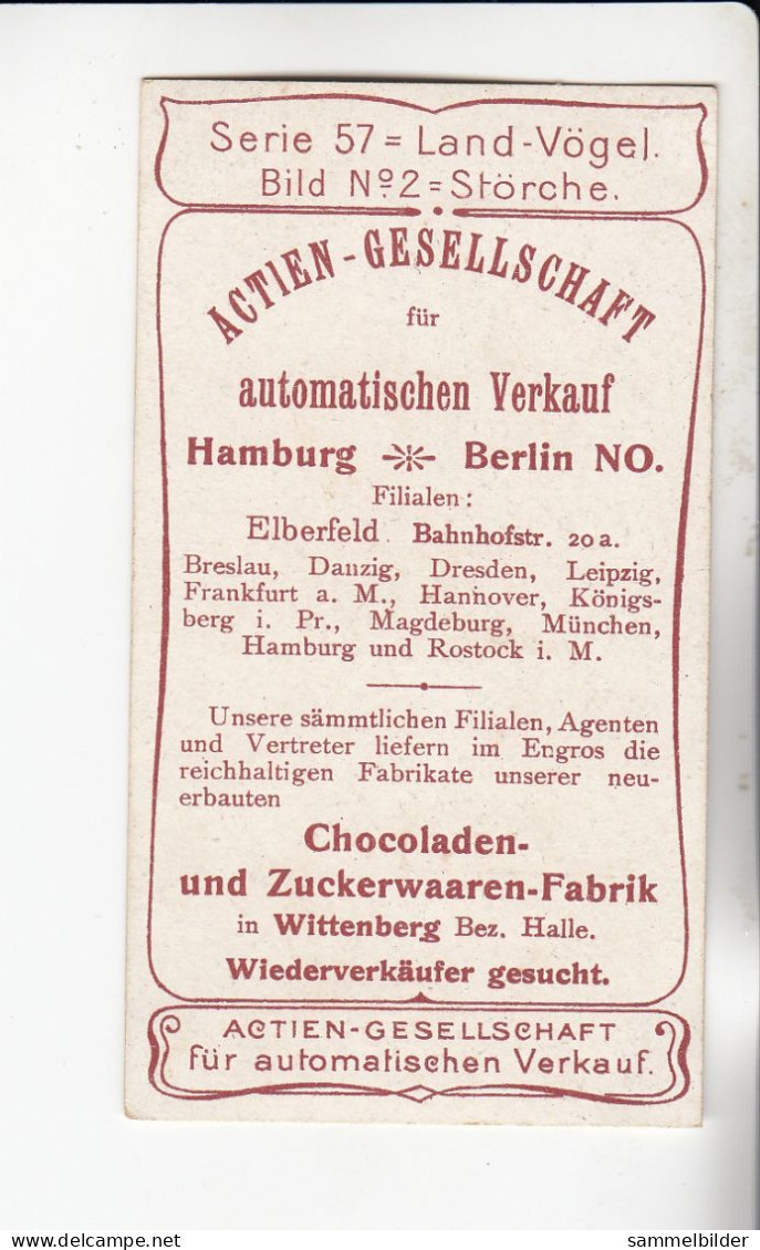 Actien Gesellschaft  Land Vögel Störche    Serie  57 #2 Von 1900 - Stollwerck