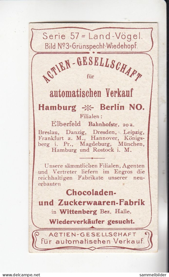 Actien Gesellschaft  Land Vögel Grünspecht - Wiedehopf    Serie  57 #3 Von 1900 - Stollwerck