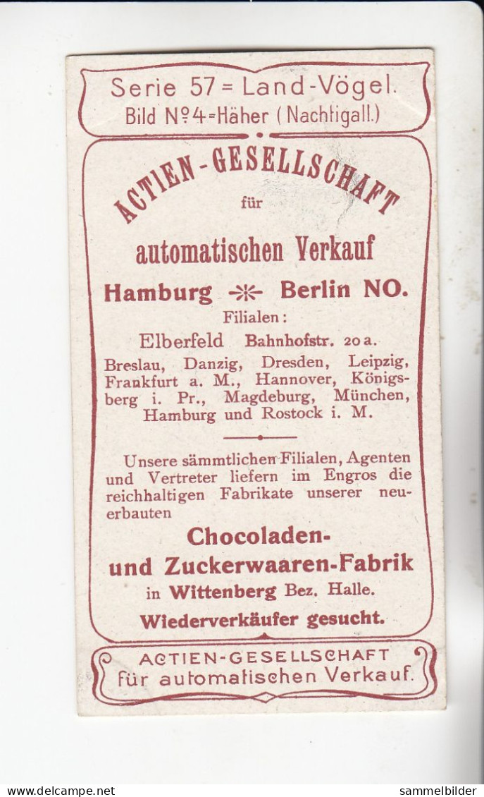 Actien Gesellschaft  Land Vögel Häher ( Nachtigal )  Serie  57 #4 Von 1900 - Stollwerck
