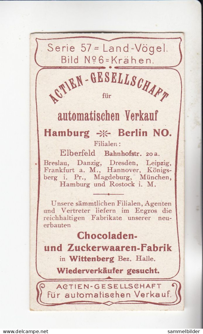 Actien Gesellschaft  Land Vögel Krähen  Serie  57 #6 Von 1900 - Stollwerck