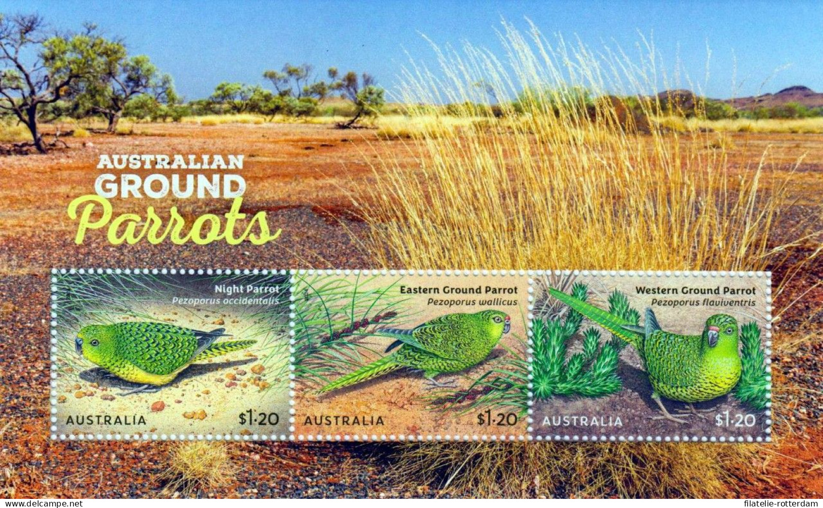 Australia / Australië - Postfris / MNH - Sheet Ground Parrots 2024 - Unused Stamps