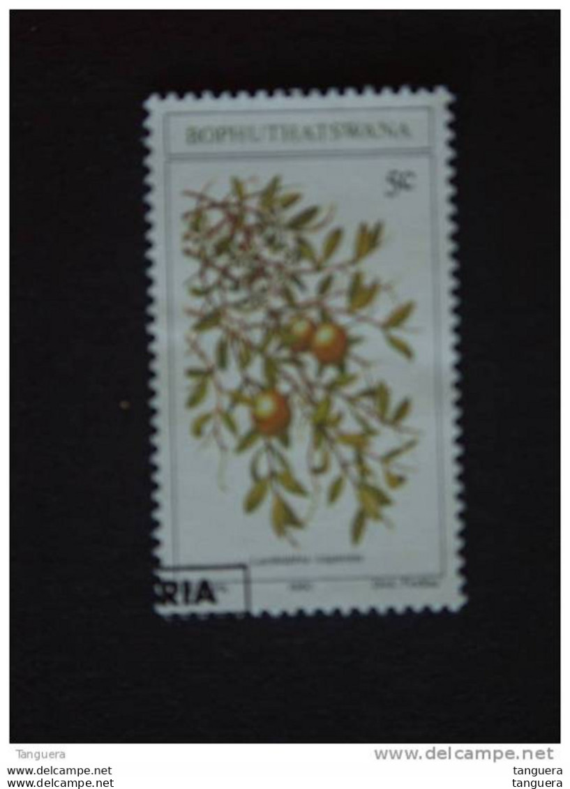 Bophuthatswana 1980 Fruit Sauvage Comestibles Eetbaar Wild Fruit Yv 56 O - Fruits