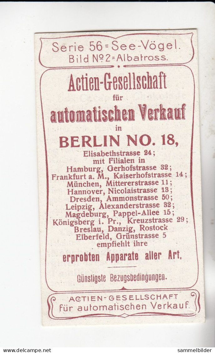 Actien Gesellschaft See - Vögel  Albatross  Serie  56 #2 Von 1900 - Stollwerck