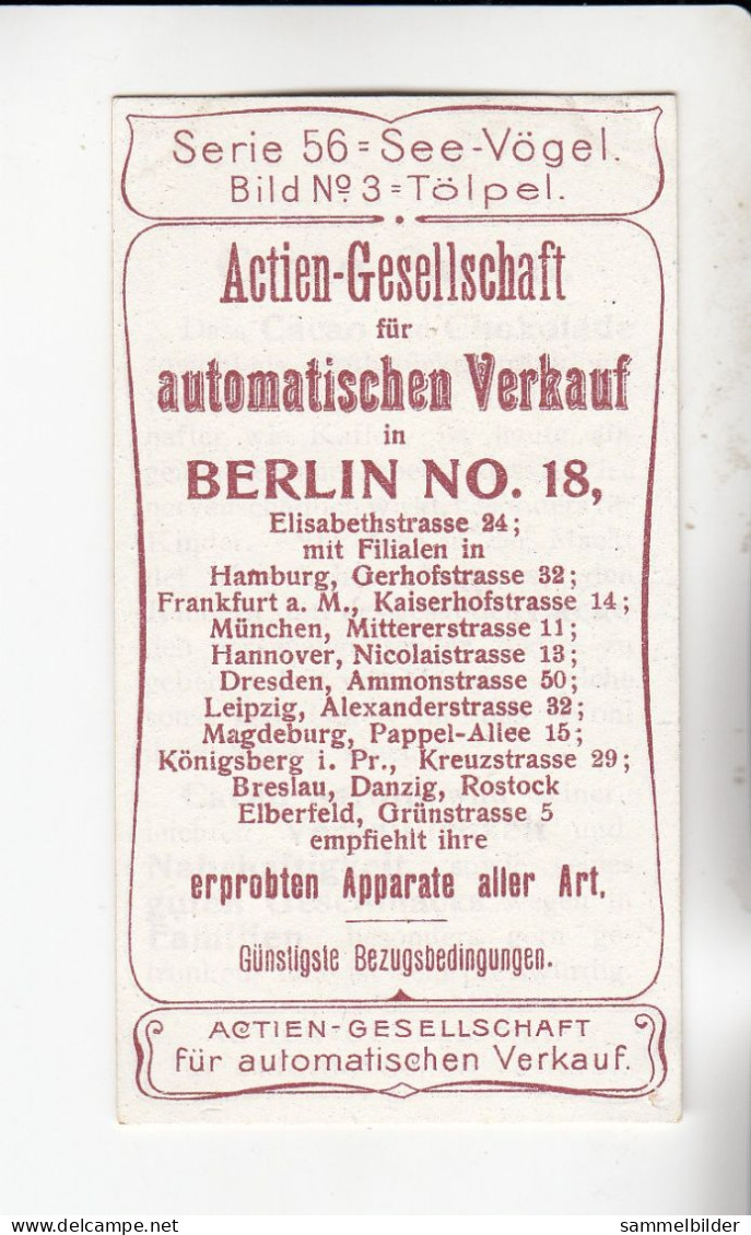 Actien Gesellschaft See - Vögel  Tölpel   Serie  56 #3 Von 1900 - Stollwerck