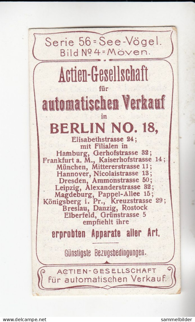 Actien Gesellschaft See - Vögel  Möven    Serie  56 #4 Von 1900 - Stollwerck