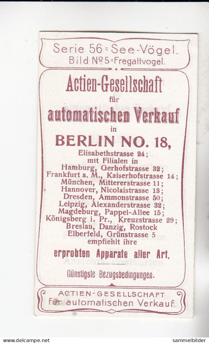 Actien Gesellschaft See - Vögel  Fregattvogel     Serie  56 #5 Von 1900 - Stollwerck