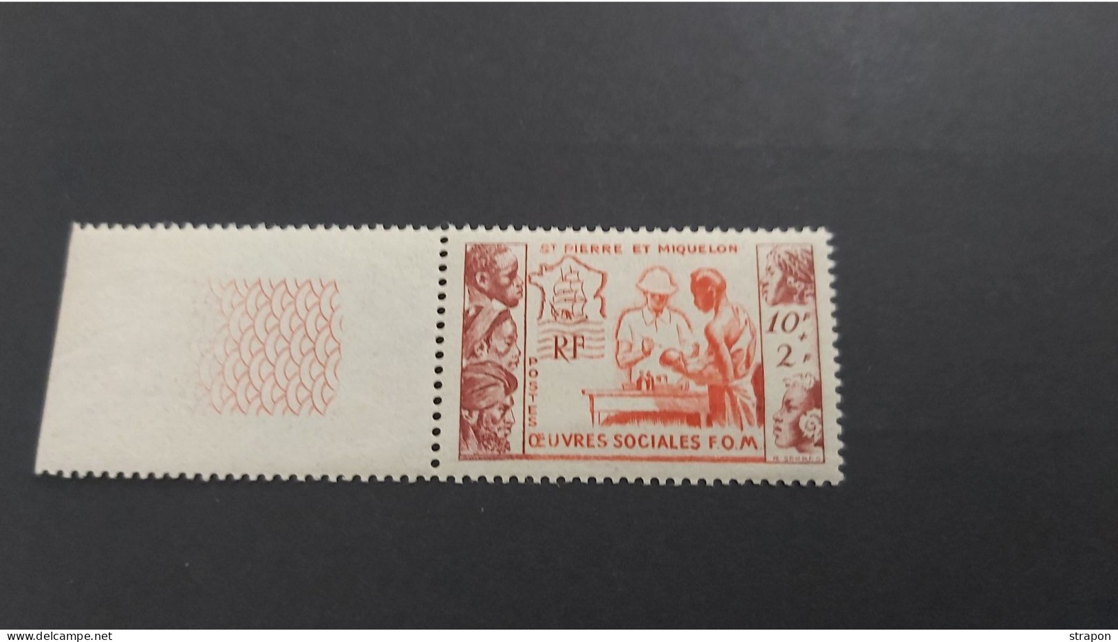 ST PIERRE Et MIQUELON POSTE 344 ** GRAND LUXE +++++ - Unused Stamps