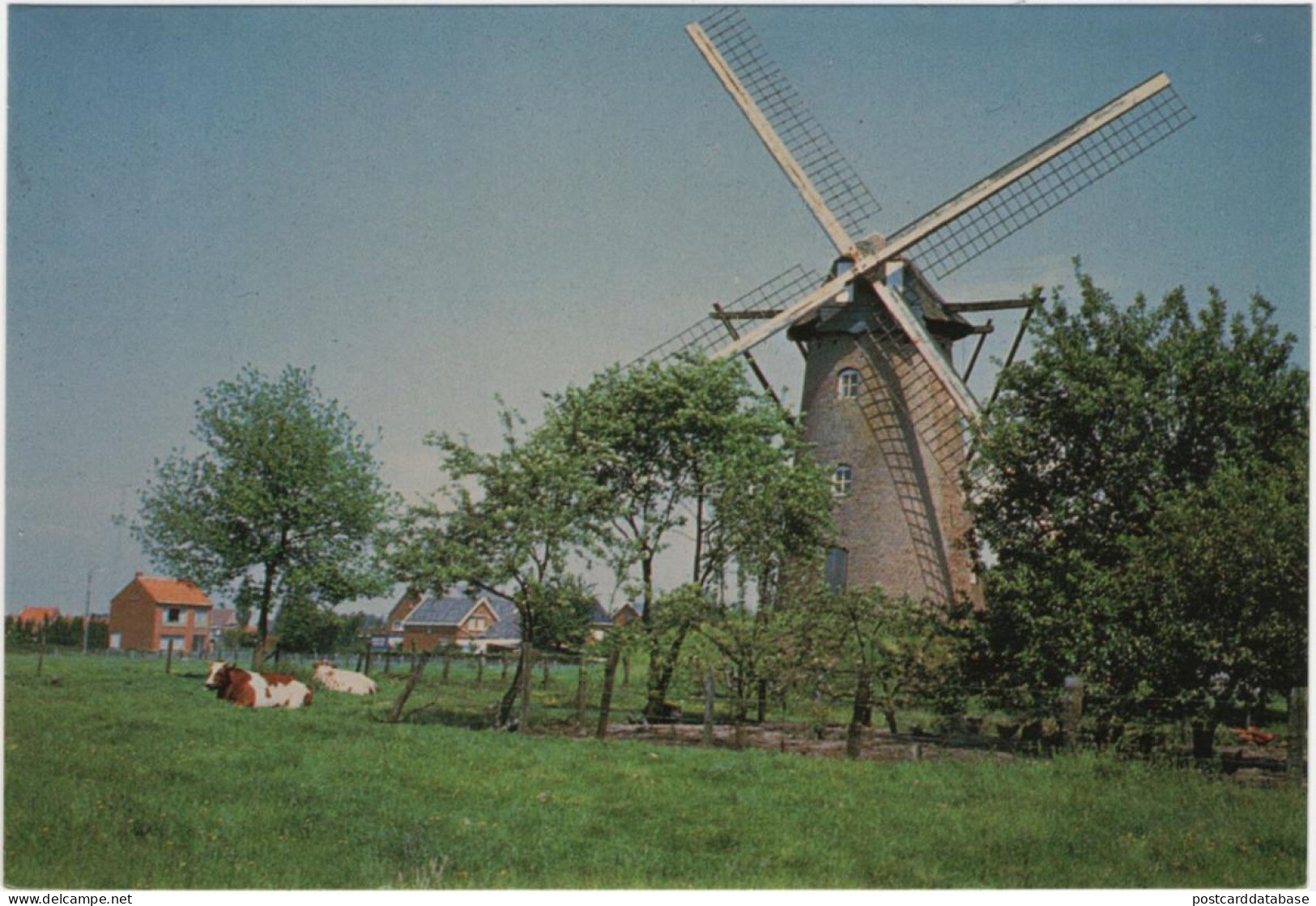 Molen - Malle-West - & Windmill - Malle