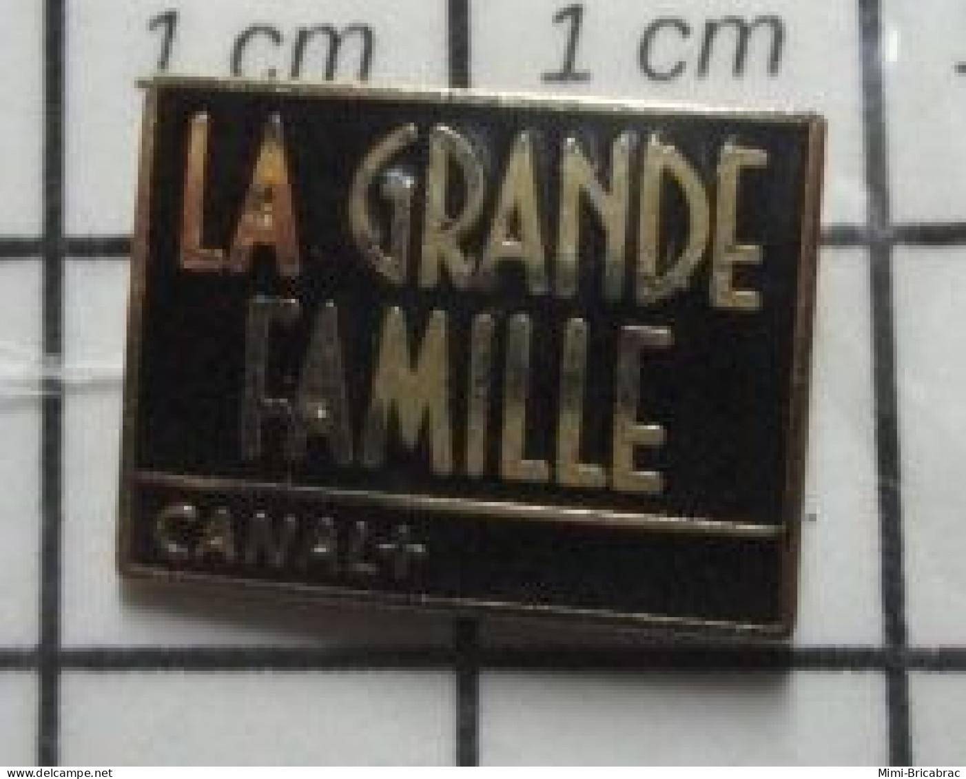 511B Pin's Pins / Beau Et Rare / MEDIAS / EMISSION DE TELE CANAL PLUS LA GRANDE FAMILLE - Mass Media