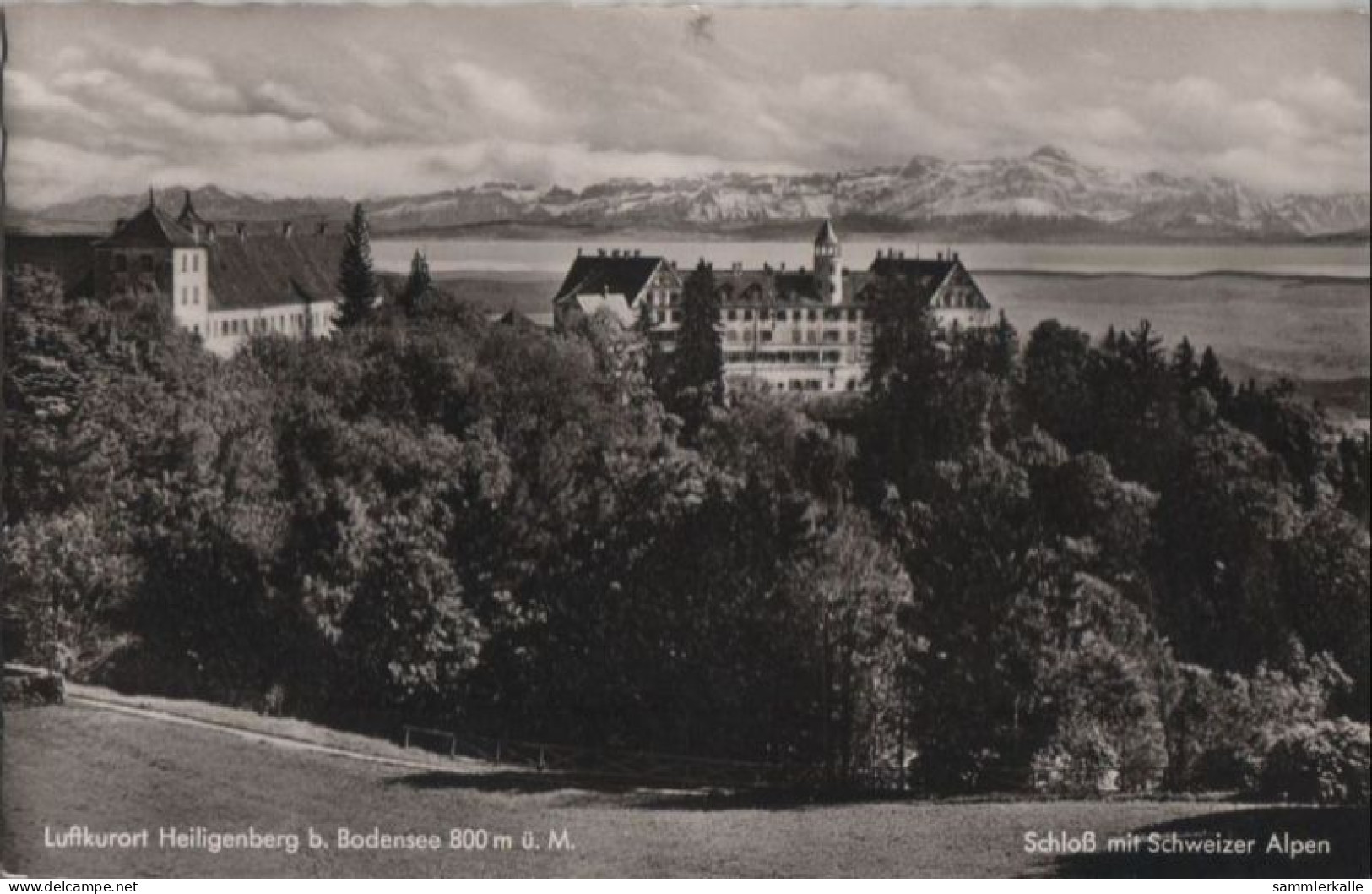 58264 - Heiligenberg - Schloss Mit Schweizer Alpen - Ca. 1960 - Friedrichshafen