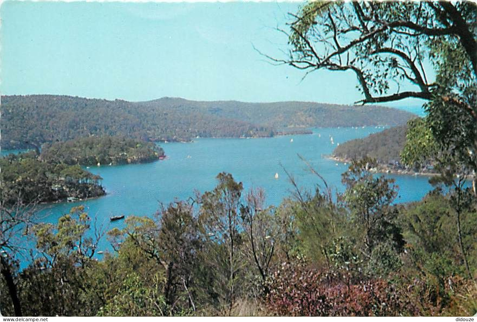 Australie - Australia - Elvina Bay - This Tranquil View Across The Calm Expanses Of Pittwater Towards Elvina Bay, Lovett - Non Classificati