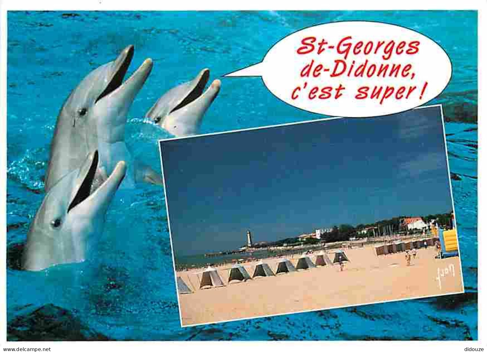 Animaux - Dauphins - St Georges De Didonne - La Grande Plage Et Au Fond Le Phare - CPM - Voir Scans Recto-Verso - Delphine