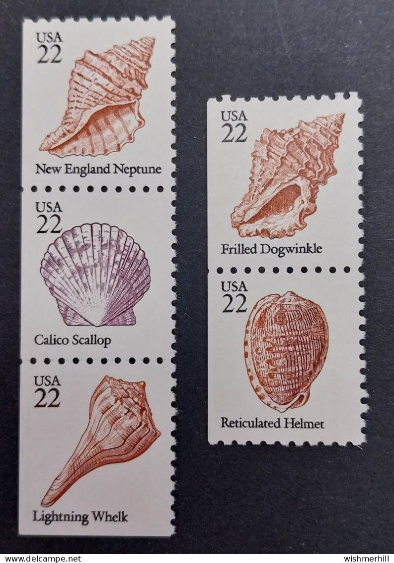 Coquillages Shells // Série Complète Neuve ** MNH ; Etats-Unis YT 1579/1583 (1983) Cote 4 € - Coneshells