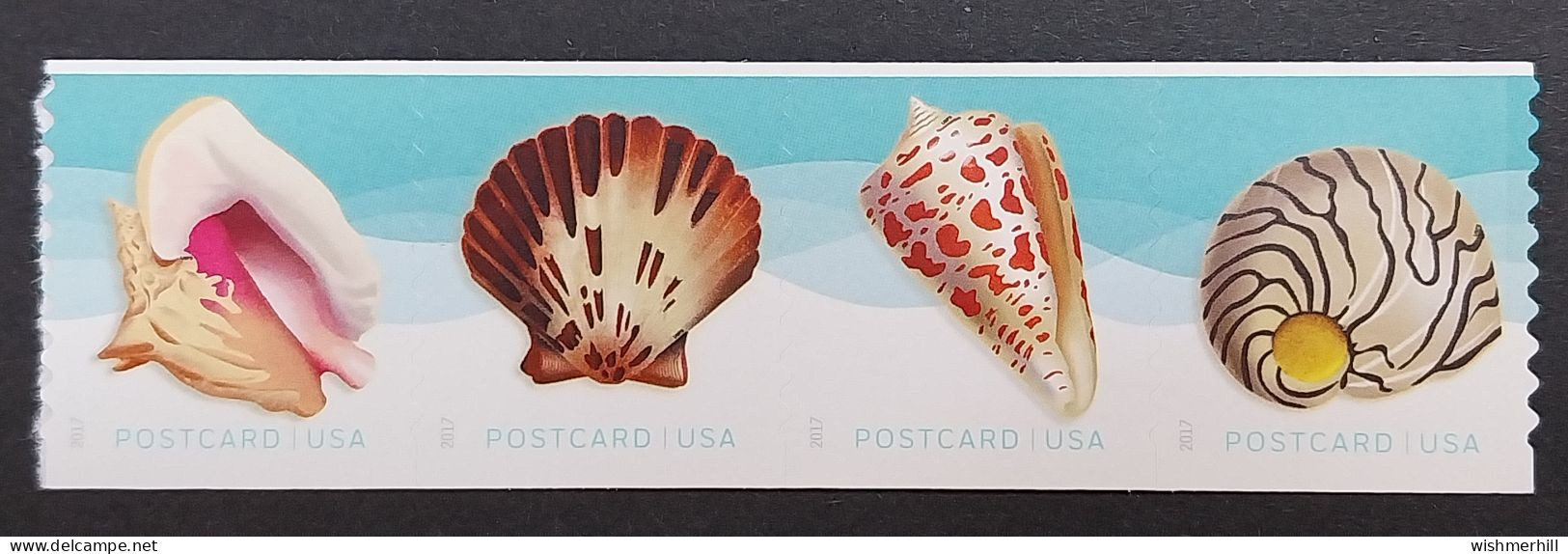 Coquillages Shells // Série Complète Neuve ** MNH Se-tenant ; Etats-Unis YT 4974/4977 (2017) Cote 3.60 € - Conchas