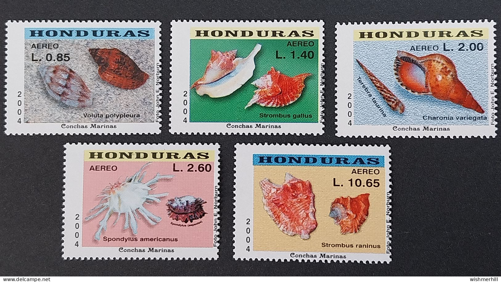 Coquillages Shells // Série Complète Neuve ** MNH ; Honduras YT 1172/1176 (2004) Cote 7 € - Coneshells