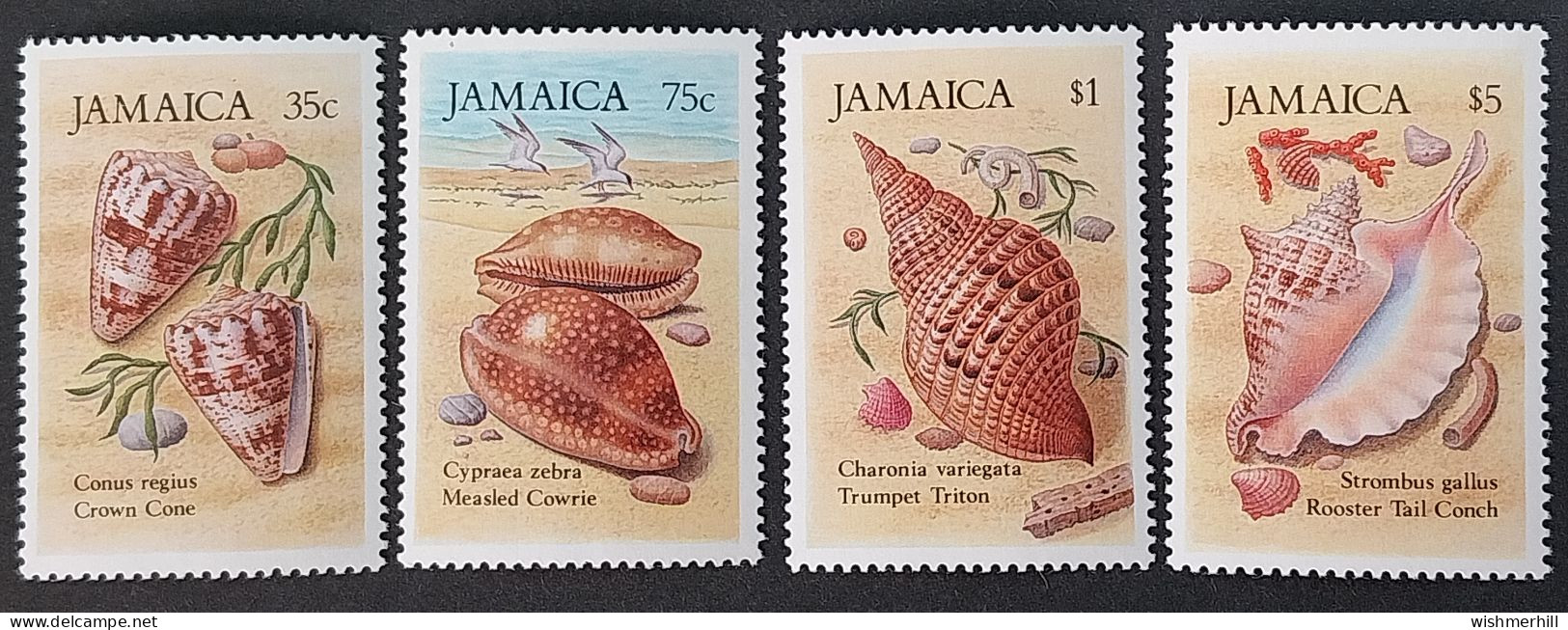Coquillages Shells // Série Complète Neuve ** MNH ; Jamaîque YT 661/664 (1987) Cote 5.50 € - Coneshells