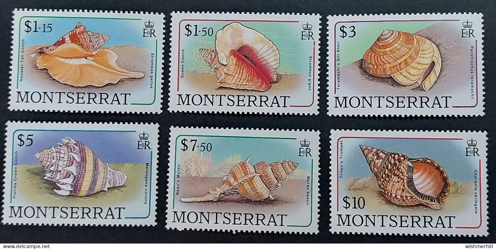 Coquillages Shells // Série Complète Neuve ** MNH ; Montserrat YT 676/291 (1988) Cote 46 € - Conchas