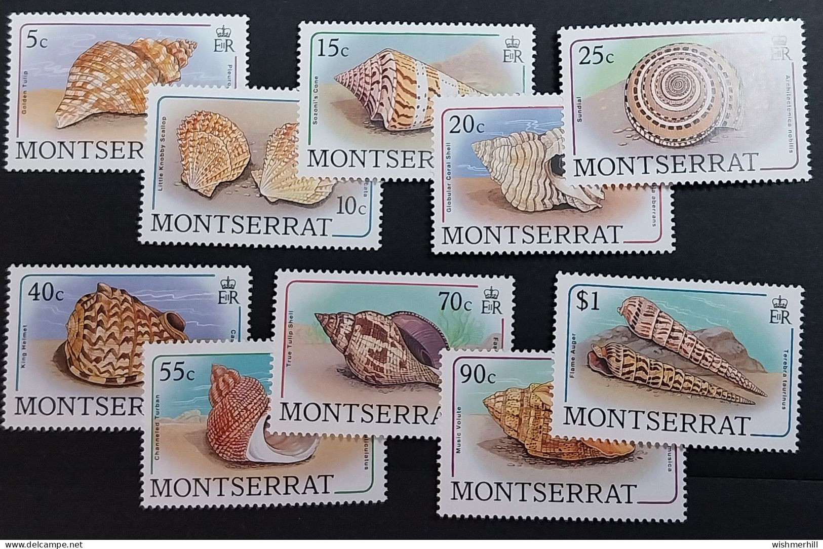 Coquillages Shells // Série Complète Neuve ** MNH ; Montserrat YT 676/291 (1988) Cote 46 € - Coneshells