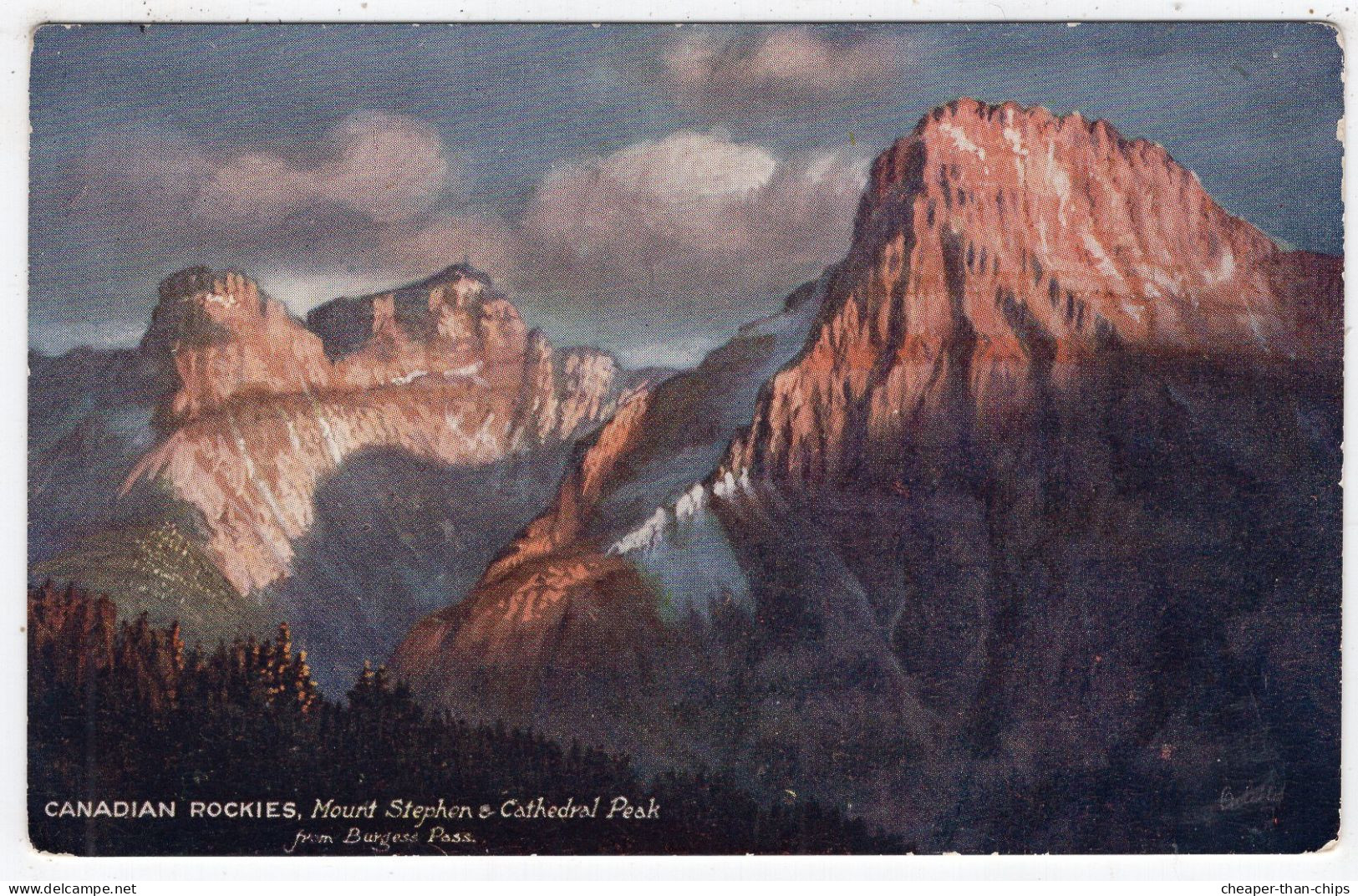 MOUNT STEPHEN And Cathedral Peak From Burgess Pass - Tuck Oilette 2519 - Sonstige & Ohne Zuordnung