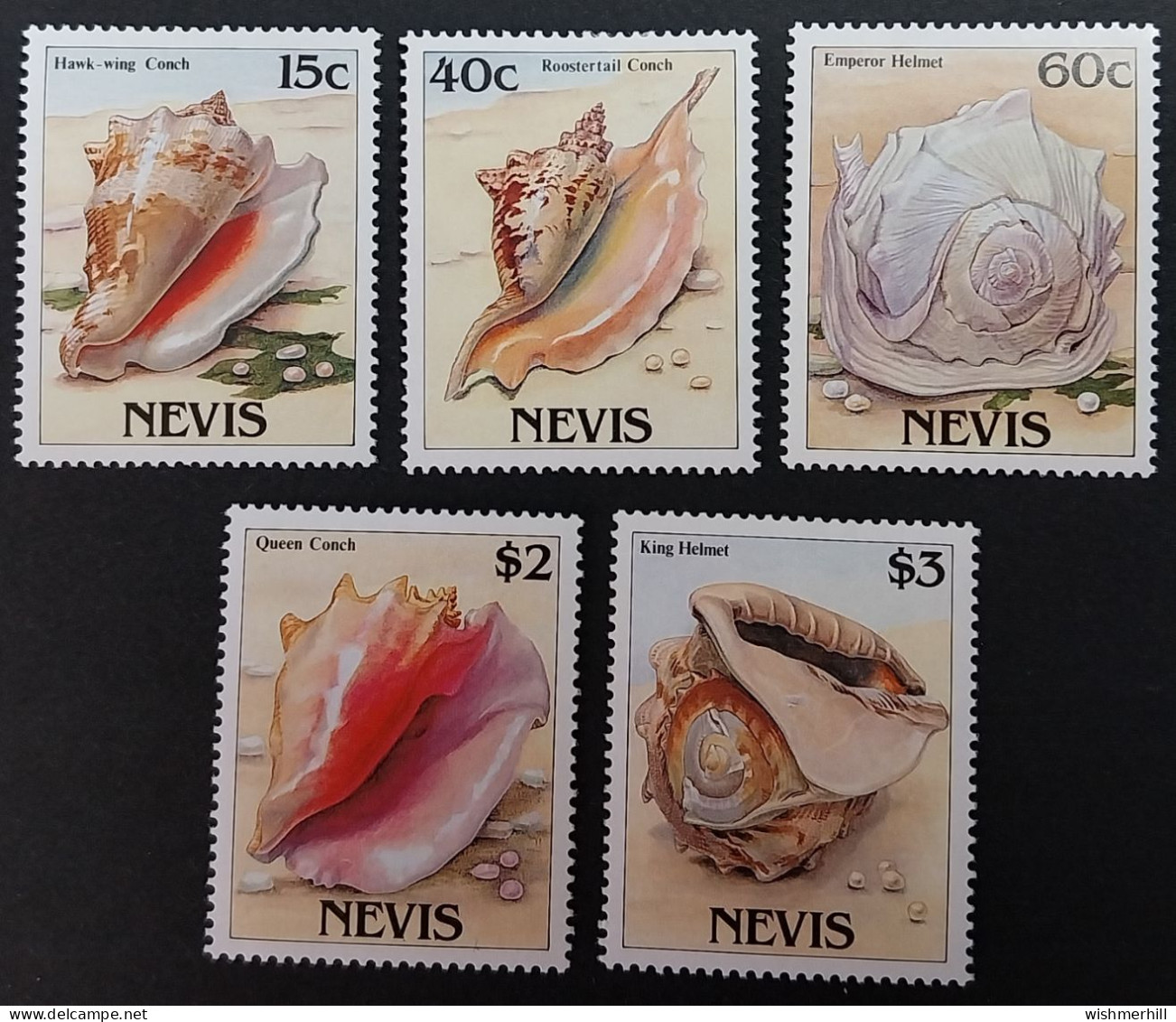 Coquillages Shells // Série Complète Neuve ** MNH ; Nevis YT 486/490 (1988) Cote 12 € - Coquillages