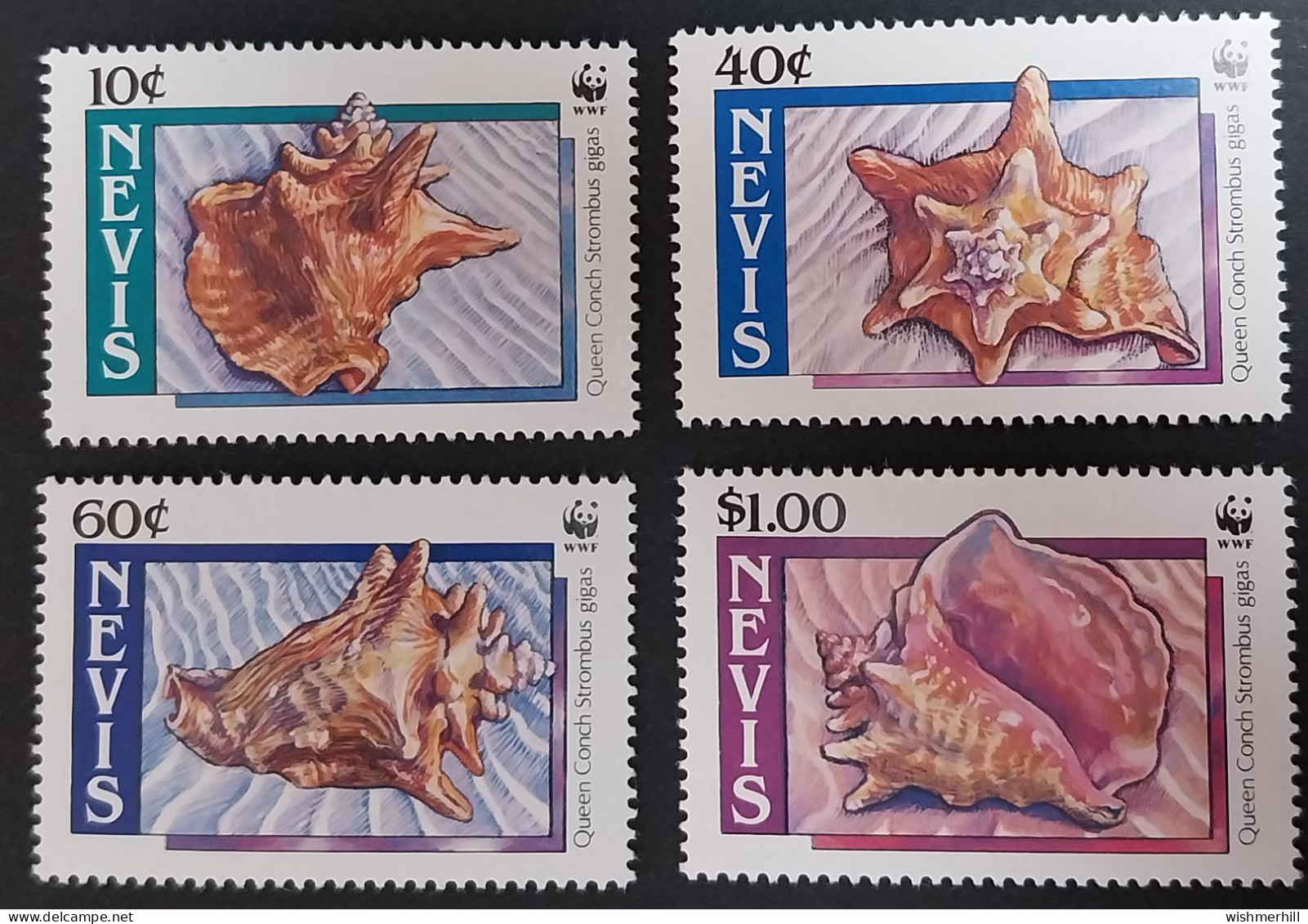 Coquillages Shells // Série Complète Neuve ** MNH ; Nevis YT 517/520 (1990) Cote 8 € - Coneshells