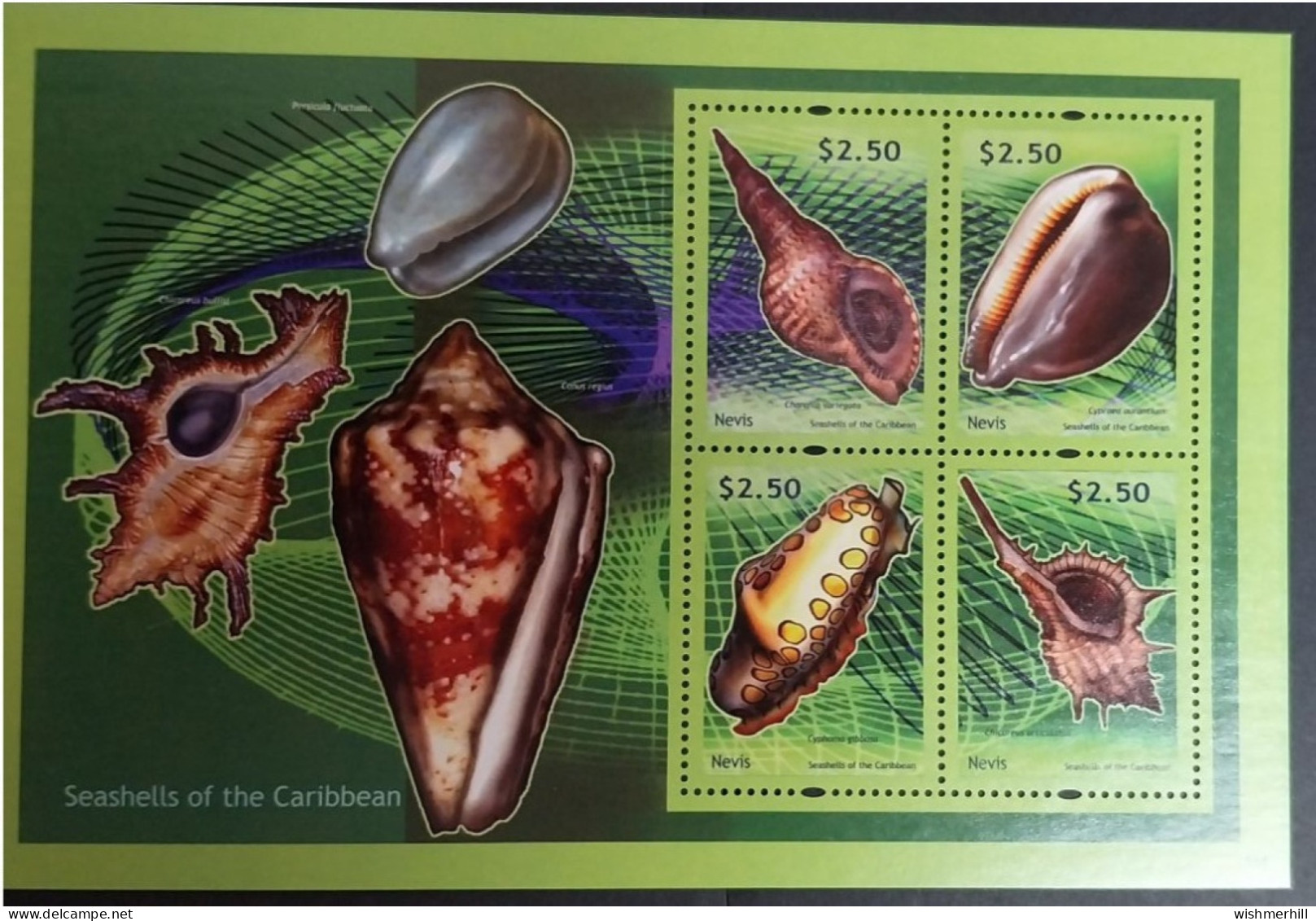 Coquillages Shells // Bloc Neuve ** MNH ; Nevis YT 2285/2288 (2011) Cote 12 € - Conchas