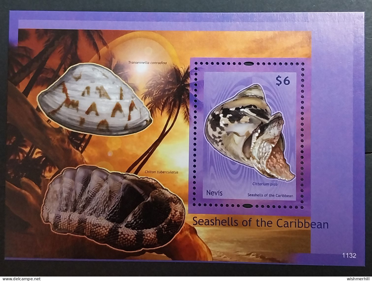 Coquillages Shells // Bloc Neuve ** MNH ; Nevis BF 308 (2011) Cote 7 € - Coneshells