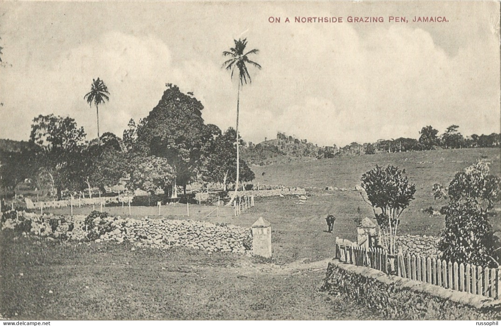 JAMAICA - ON A NORTHSID GRAZING PEN - GARDNER 'S SERIES - 1910 - Giamaica