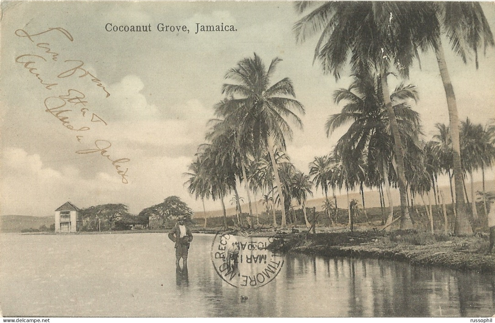 JAMAICA - COCOANUT GROVE - PUB. BY CLEARY N° 1 - 1906 - Jamaïque