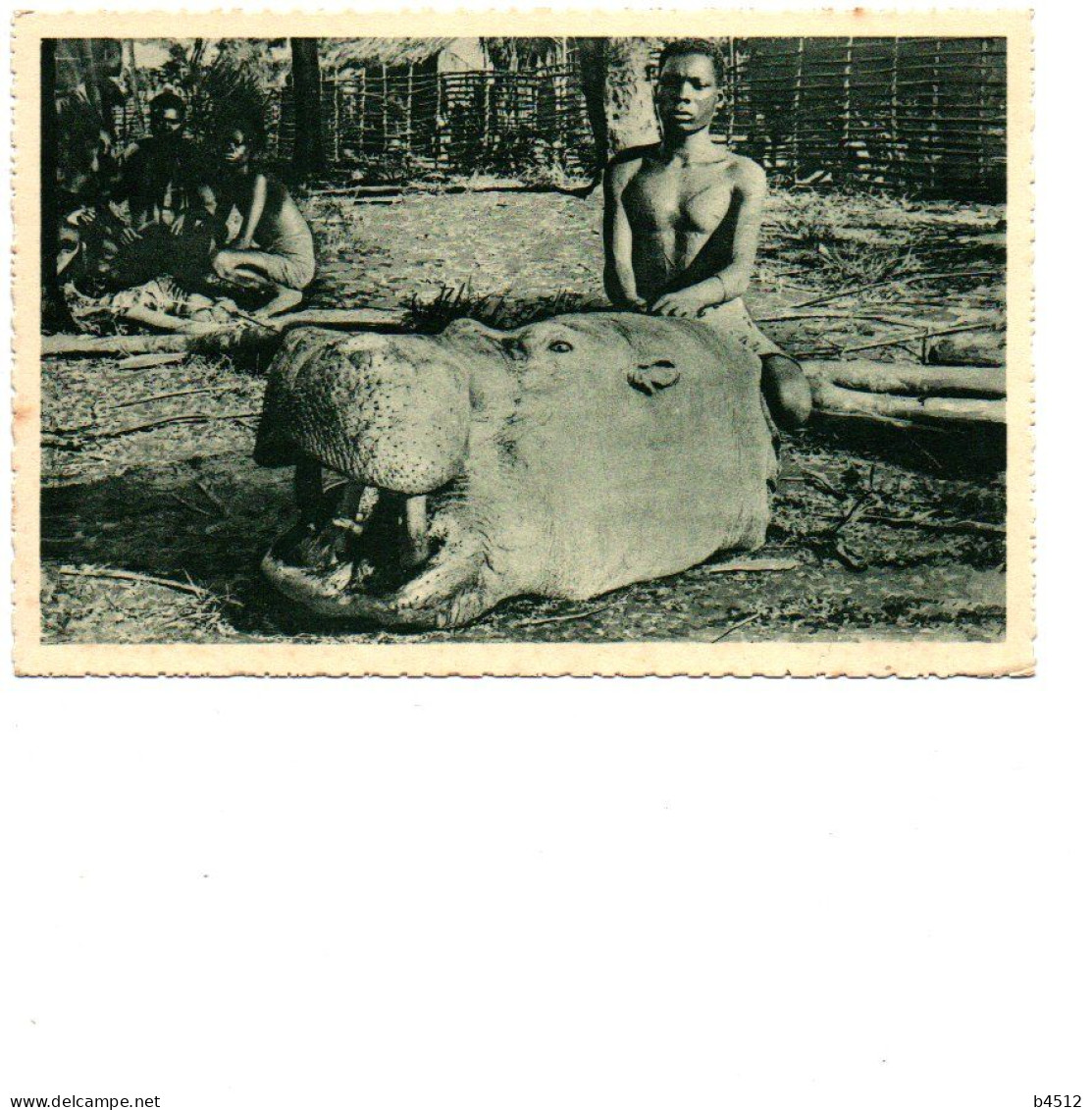 CONGO Devant Une Tête D'hippopotame - Sonstige & Ohne Zuordnung